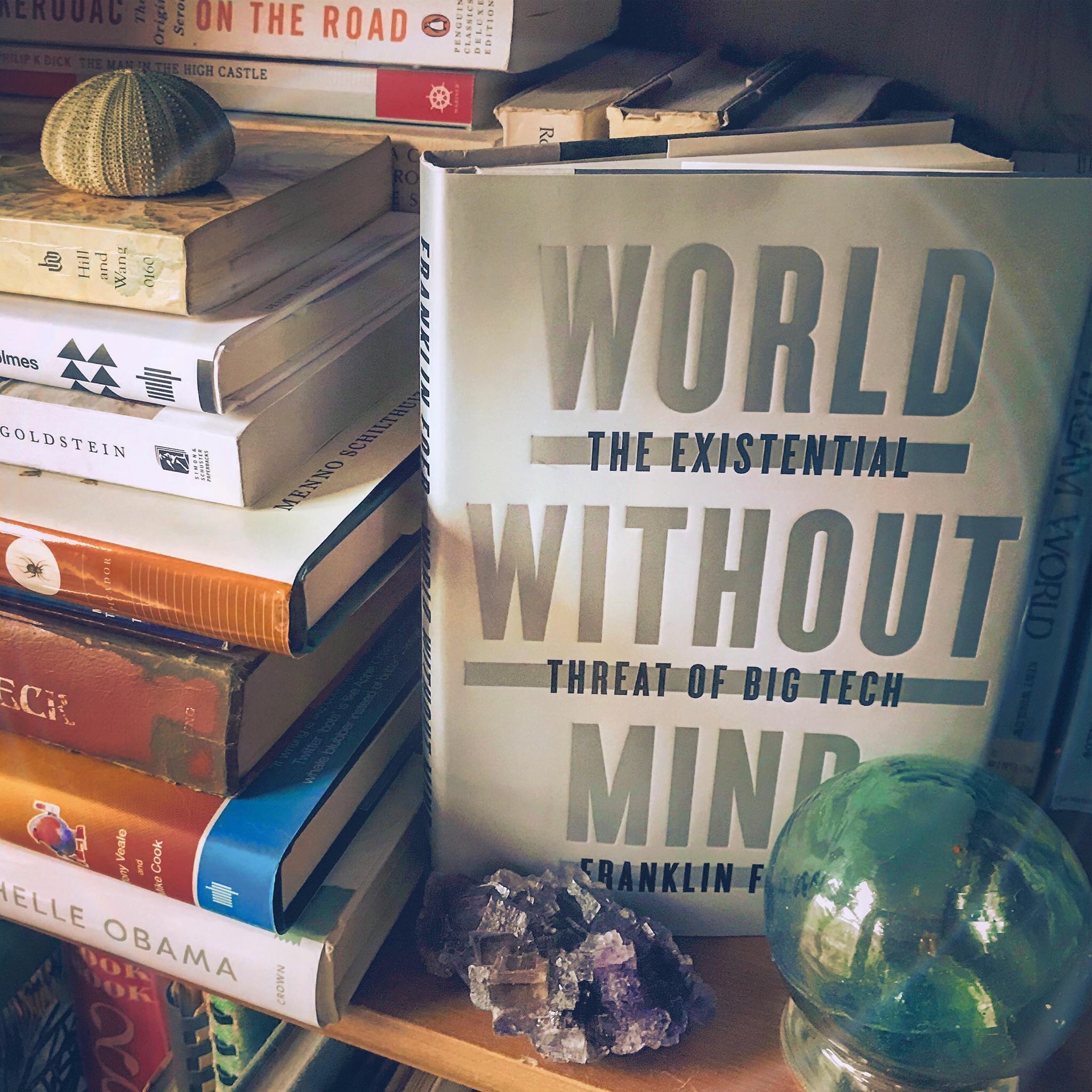 world without mind