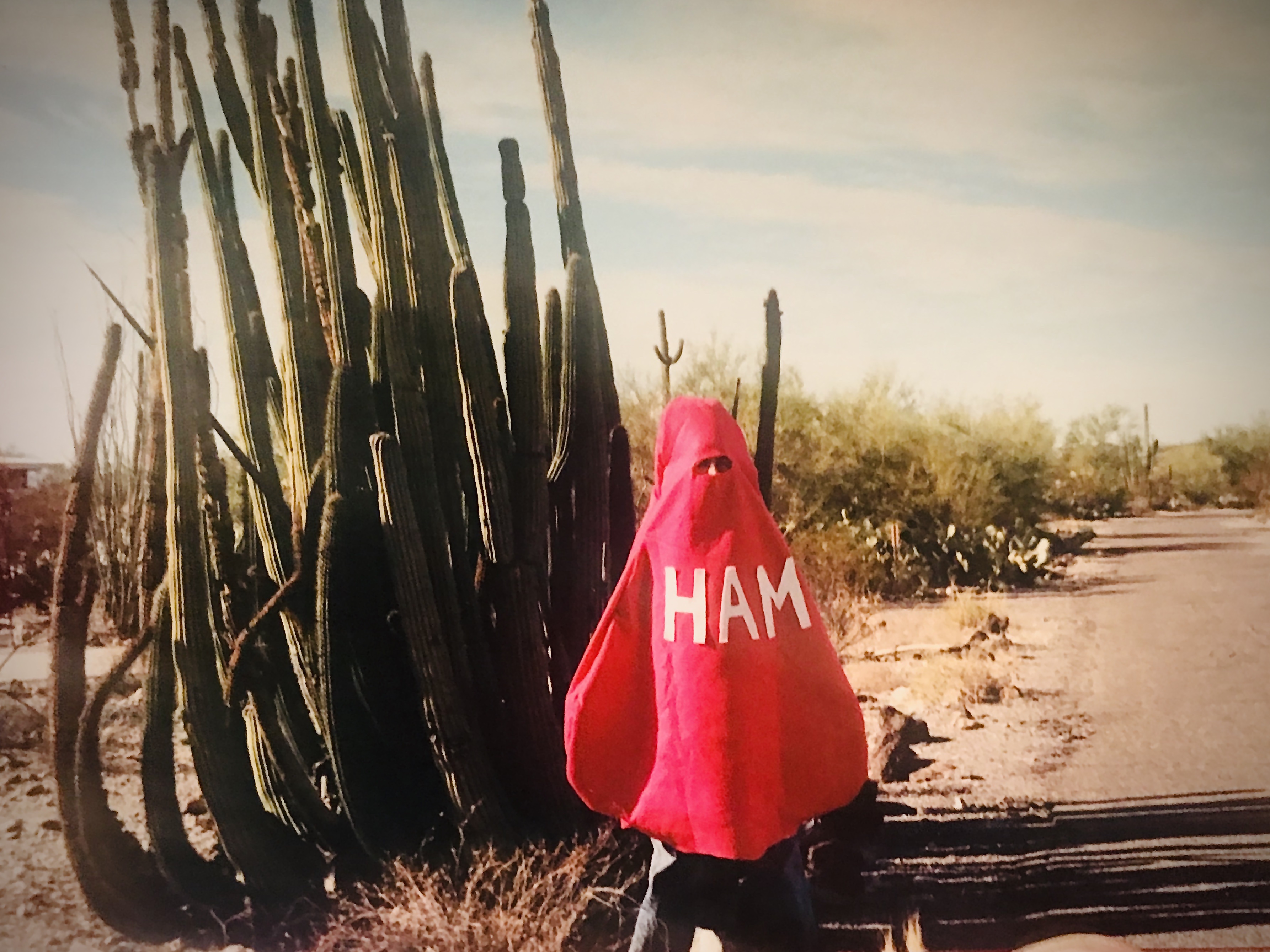 Ham cactus